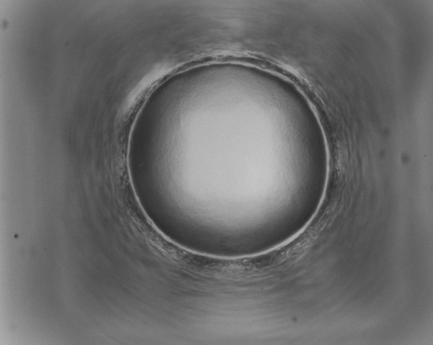 X0000071831359200607141650