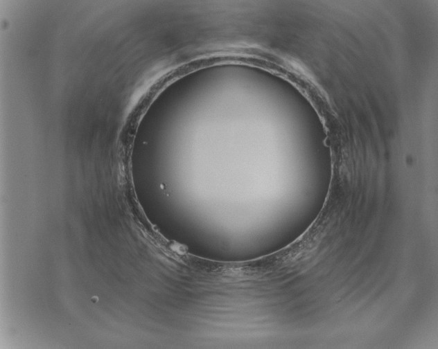 X0000071831360200607141650