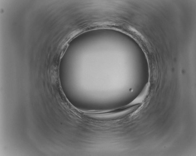 X0000071831361200607141650