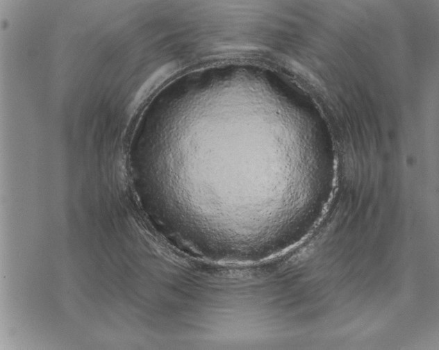 X0000071831362200607141650