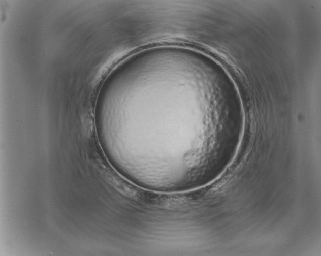 X0000071831363200607141650