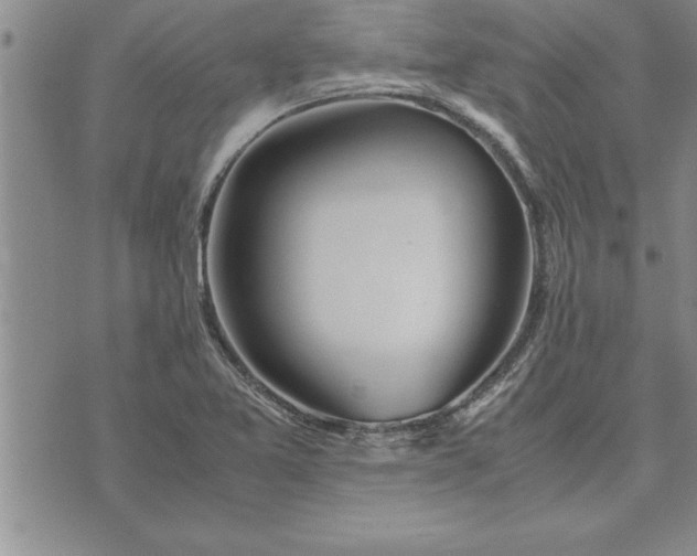 X0000071831365200607141650