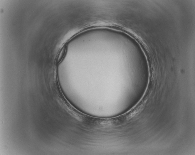 X0000071831367200607141650