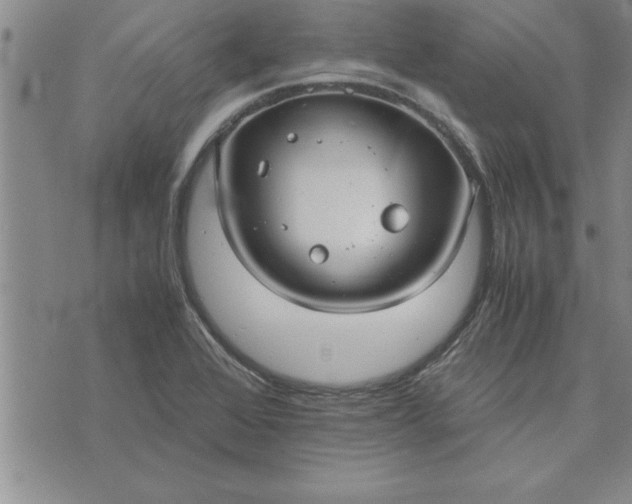 X0000071831368200607141650