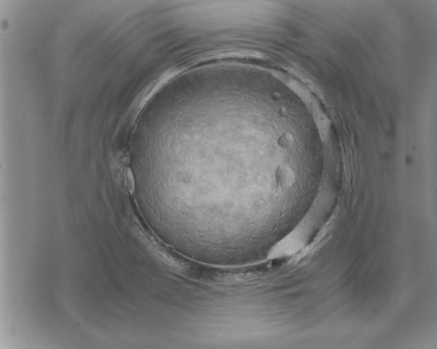 X0000071831369200607141649