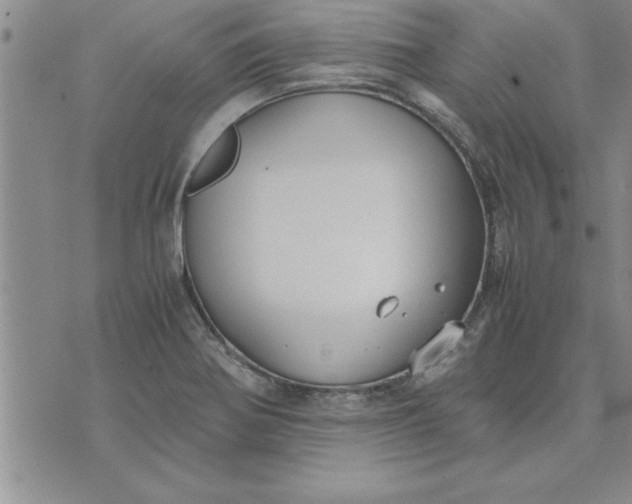 X0000071831370200607141649