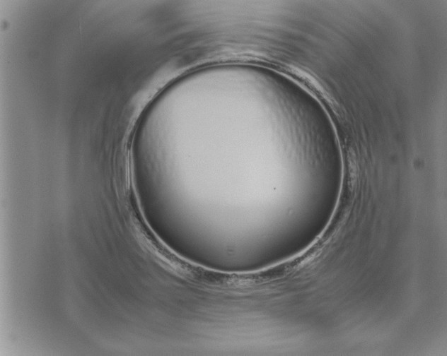 X0000071831371200607141649