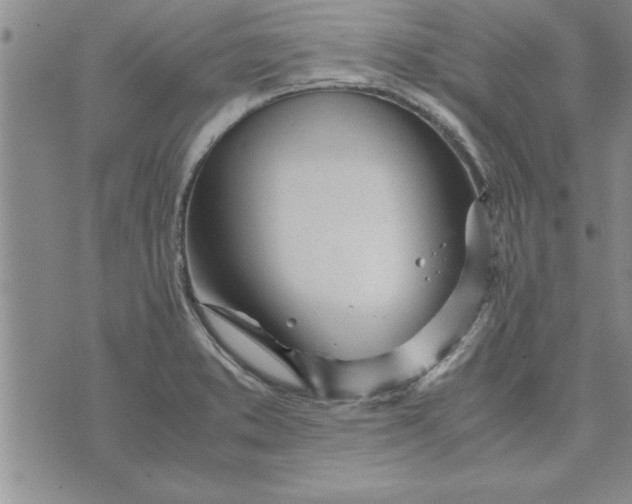 X0000071831373200607141649