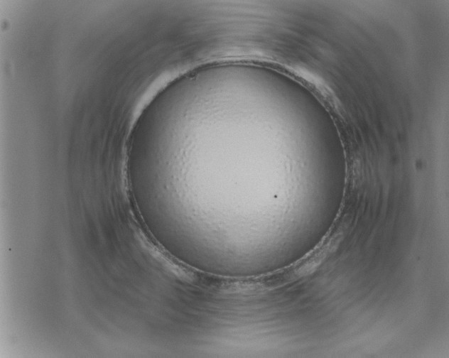 X0000071831374200607141649