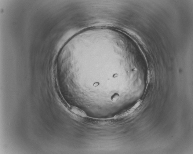 X0000071831375200607141649