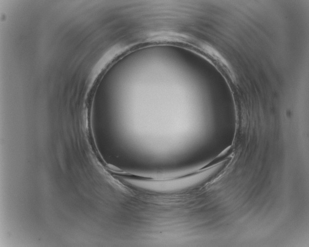 X0000071831376200607141649