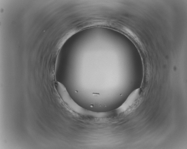 X0000071831377200607141649