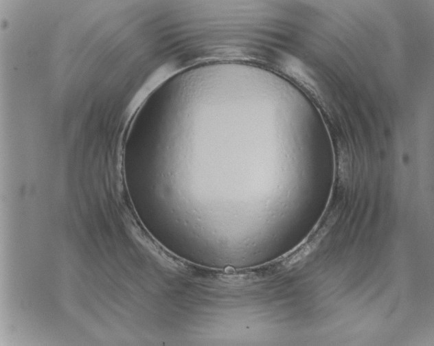 X0000071831378200607141649