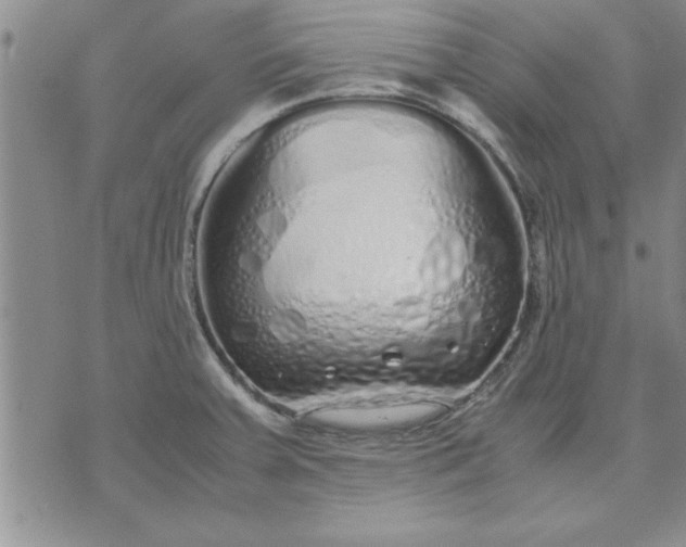 X0000071831379200607141649