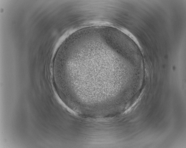 X0000071831381200607141649