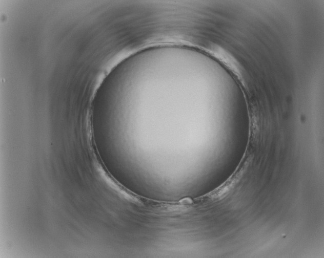 X0000071831382200607141649