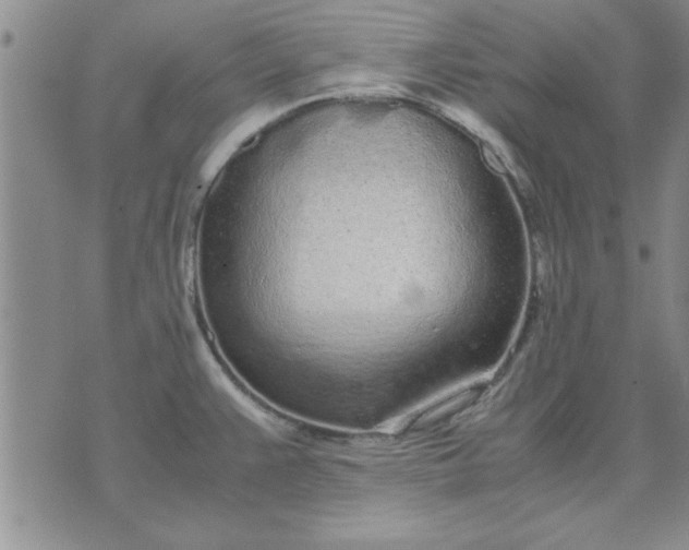 X0000071831383200607141649