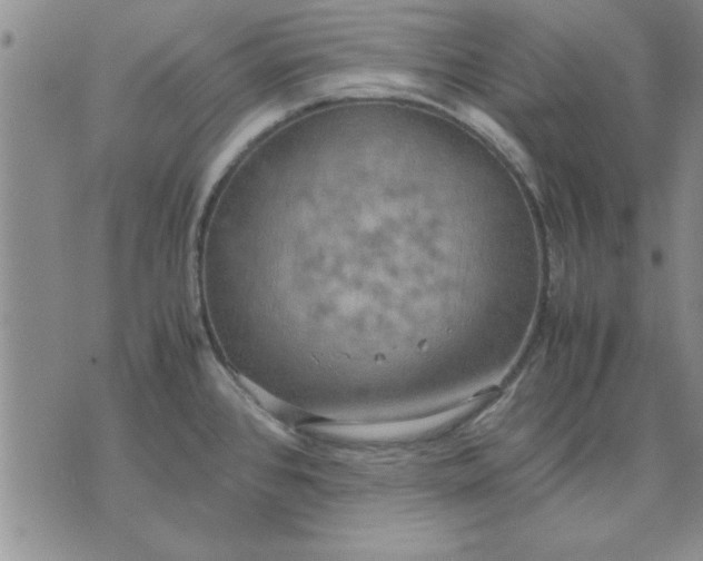 X0000071831384200607141649