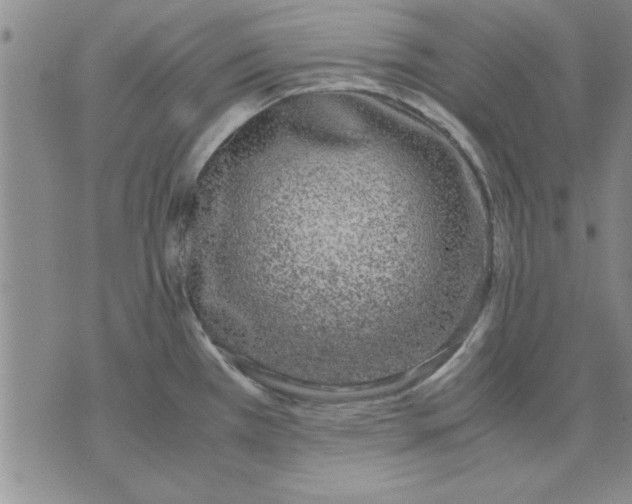 X0000071831385200607141649