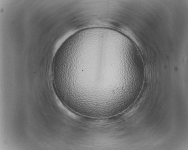 X0000071831387200607141649