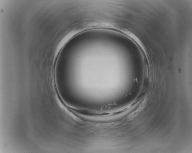 X0000071831389200607141649