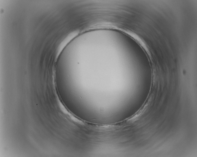 X0000071831390200607141649