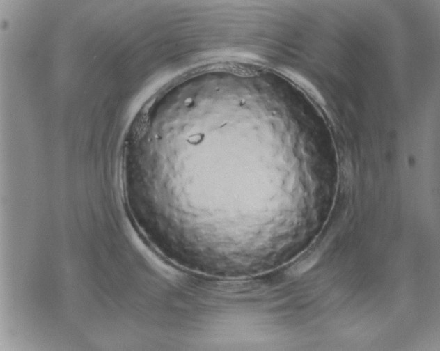 X0000071831391200607141649