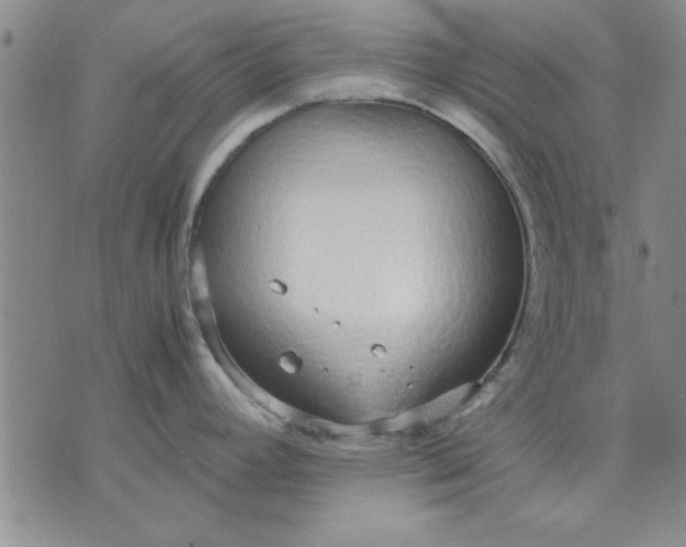 X0000071831392200607141649