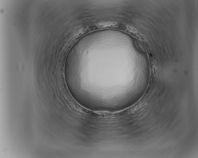 X0000071831393200607141648