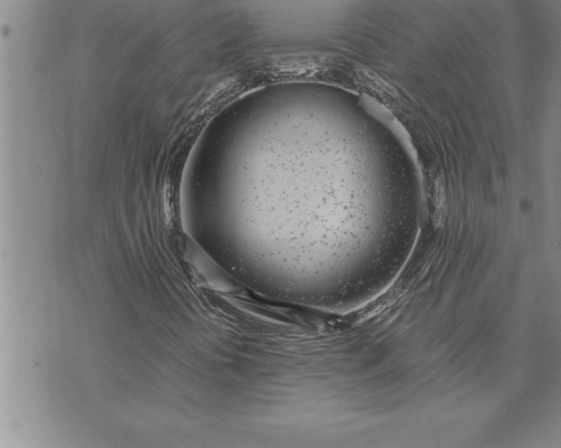 X0000071831394200607141648