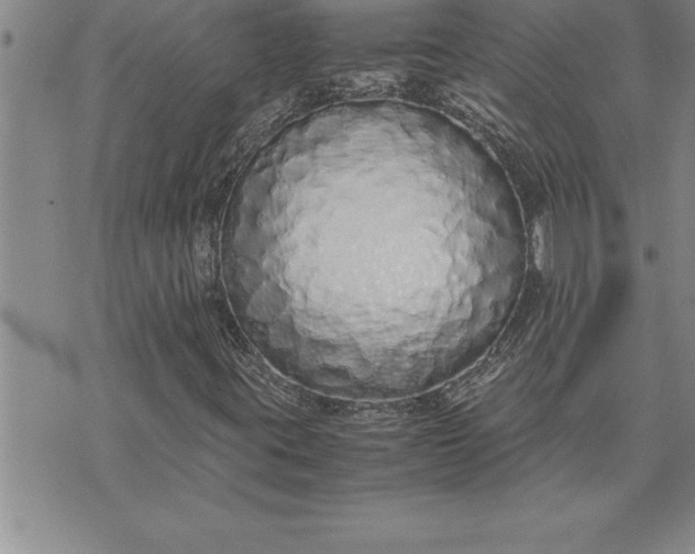 X0000071831395200607141648