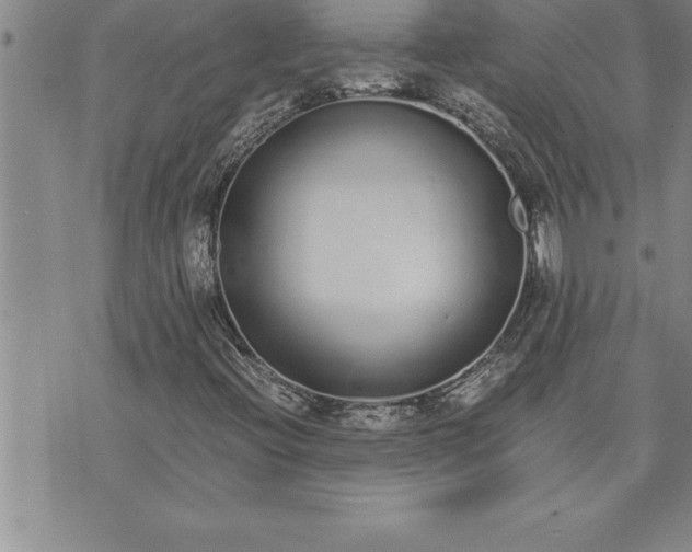 X0000071831396200607141648