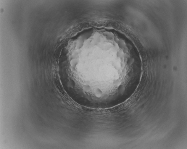 X0000071831397200607141648