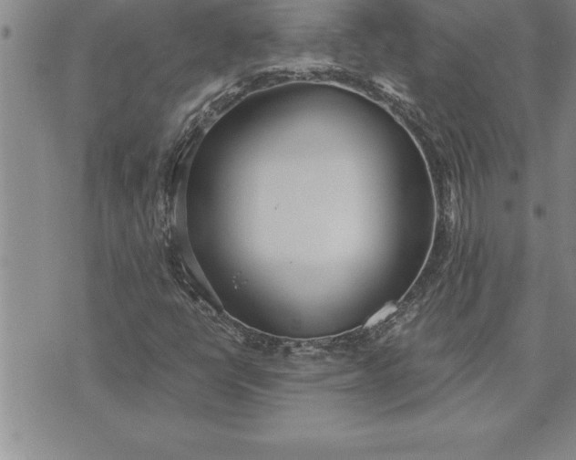 X0000071831398200607141648