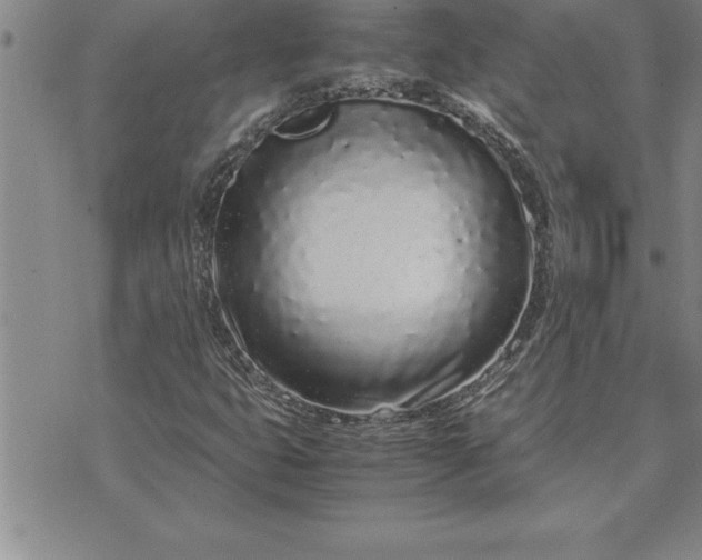 X0000071831399200607141648