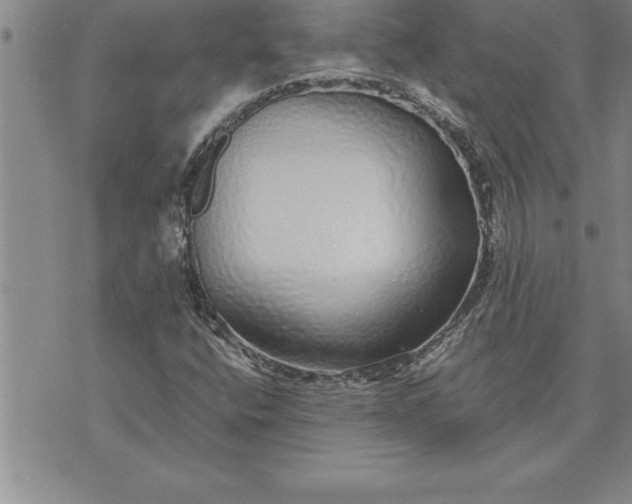 X0000071831400200607141648