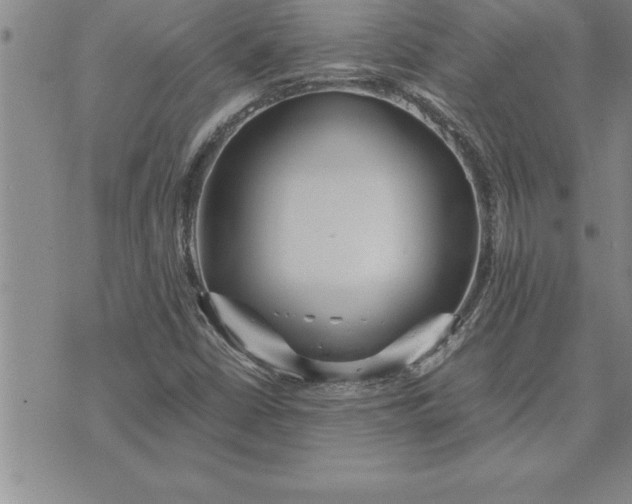 X0000071831402200607141648