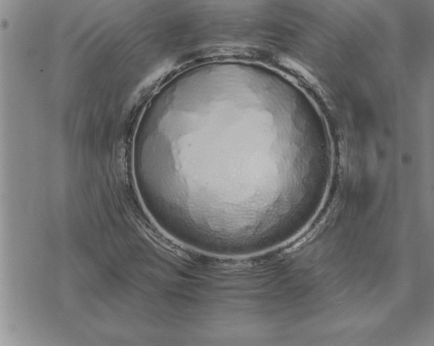 X0000071831403200607141648