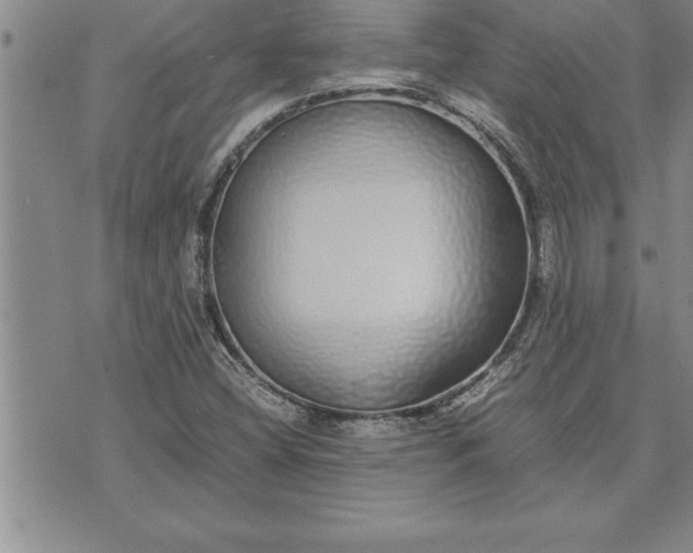 X0000071831404200607141649