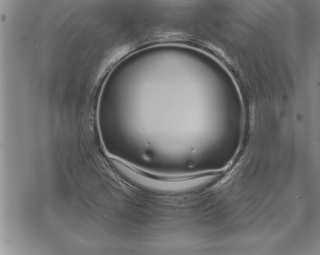 X0000071831405200607141649