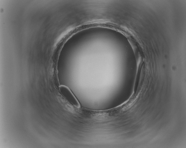 X0000071831406200607141649