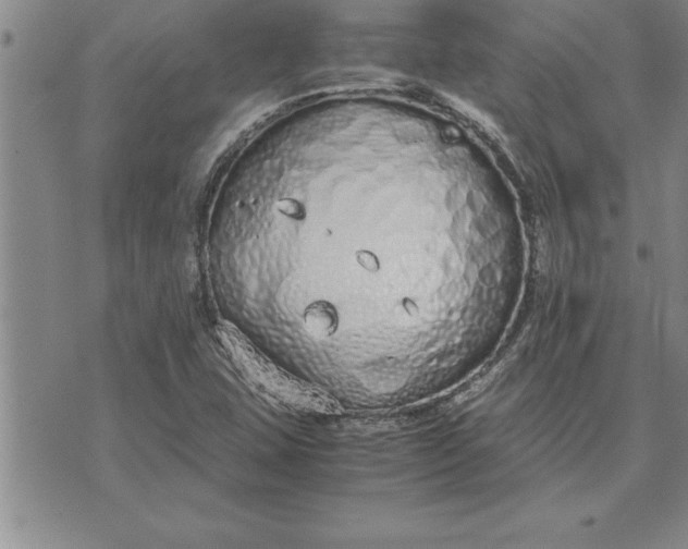 X0000071831407200607141649