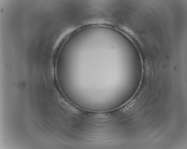 X0000071831408200607141649