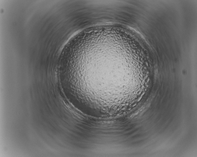 X0000071831409200607141649