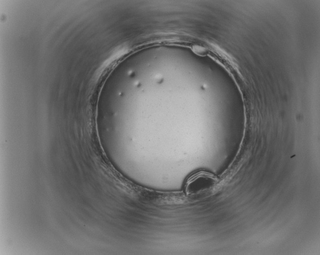 X0000071831411200607141649