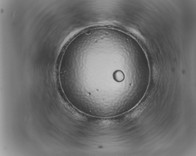 X0000071831412200607141649