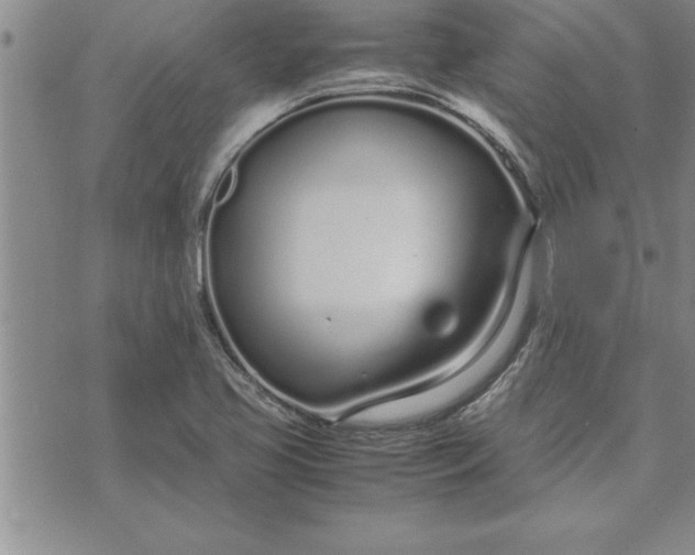 X0000071831413200607141649