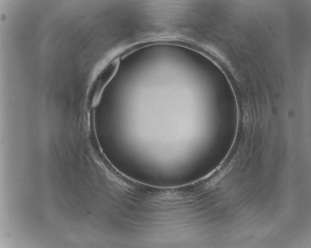 X0000071831414200607141649