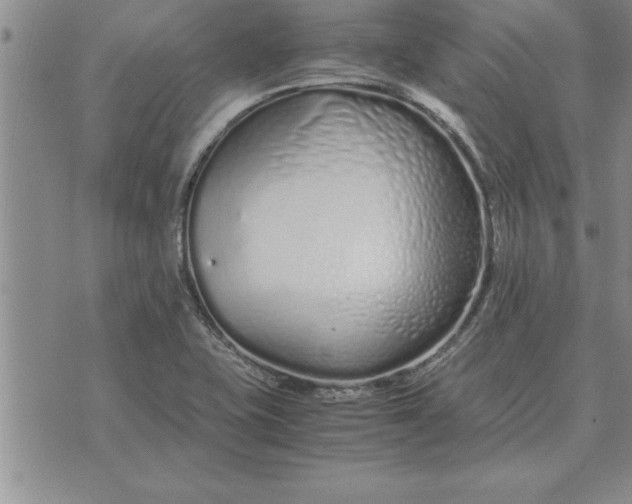 X0000071831415200607141649