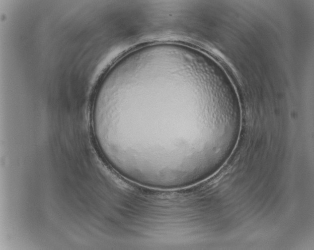 X0000071831416200607141649